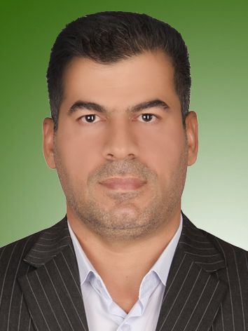 سیدمجتبی میرافضلی