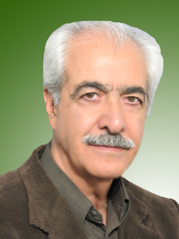 سیدمهدی حریه