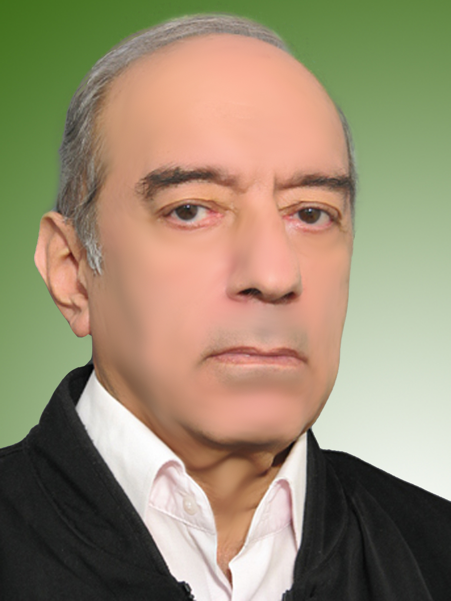 محمد یزدچی