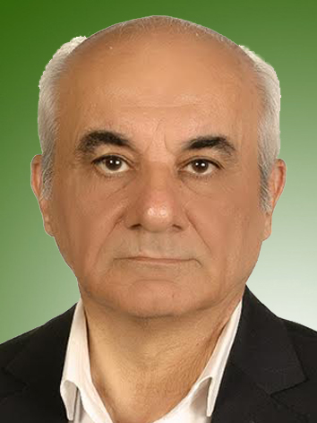 سعید مدنی