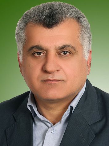 بهنام شاه حسینی