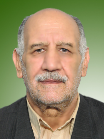 سیدمصطفی مدرسی