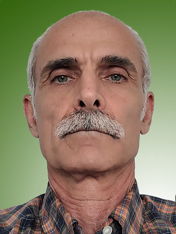 بهروز سلمان زاده