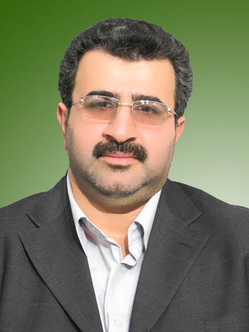 سعید معادی