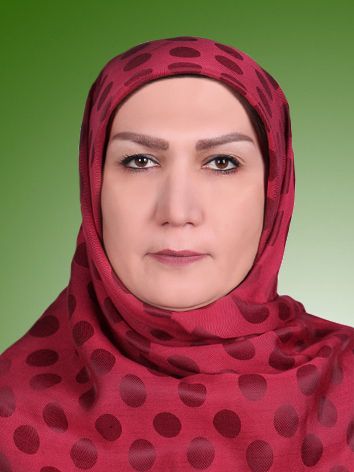 اشرف تقی زاده ارمکی
