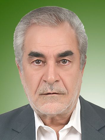 محمدجواد افشون
