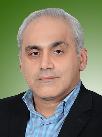 حامد حبیب زاده