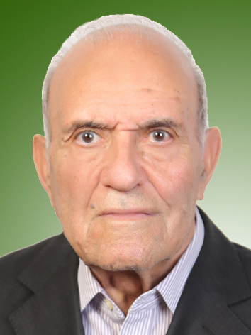 حسن حرمتی