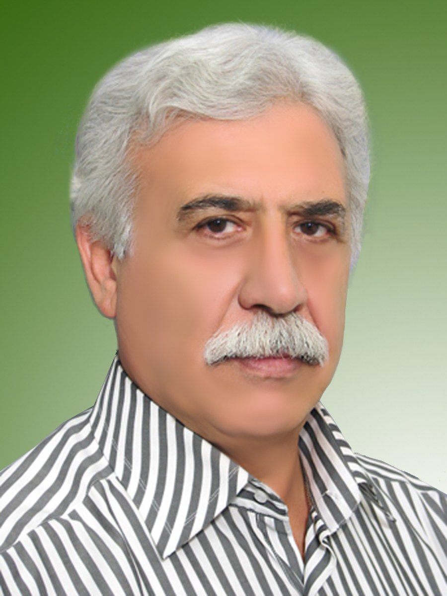 محمدرضا زارع سلماسی