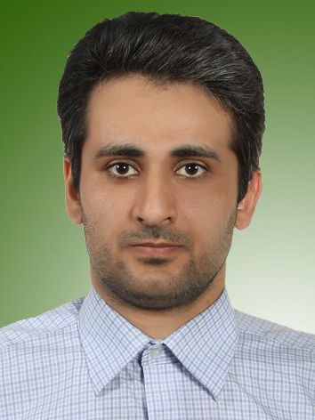 حامد دشتی