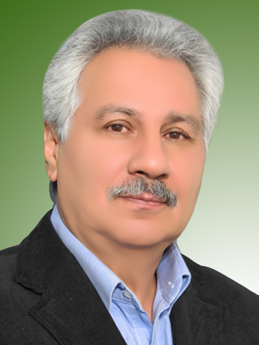 صادق زین العابدینی رفیع