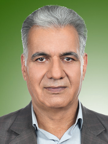 ابراهیم مددی