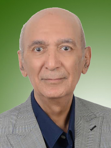 ابراهیم ضیائی ثانی