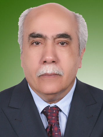 محمدحسن محوری
