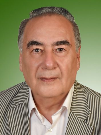 سعید گیتی پور