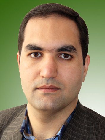 وحید نجفی