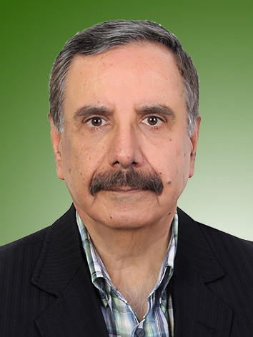 حمید حمیدی