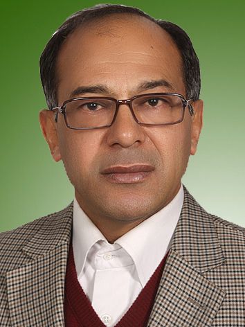 حسن فتاحی