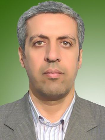 سید حسن موسوی