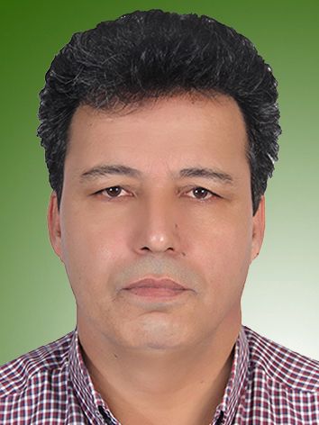 محمدرضا حامدی فرد