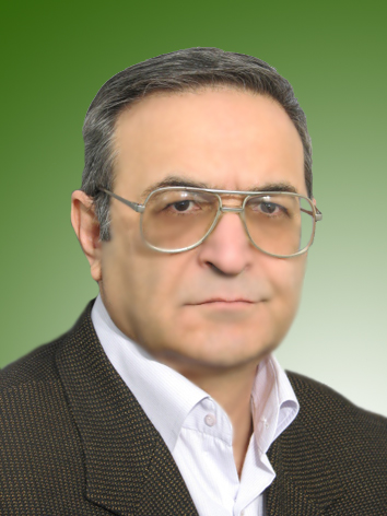 عبدالله سلطانمحمدی