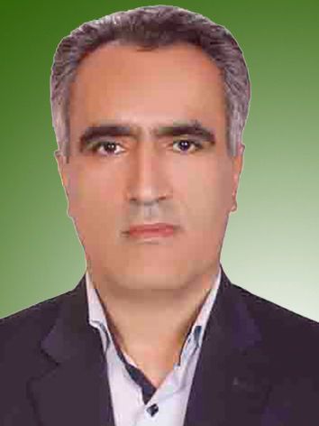 مرتضی حاتمی