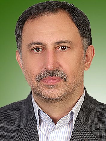 امیر محمدزاده قره باغی