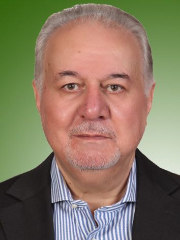 سیدحسن طباطبائی