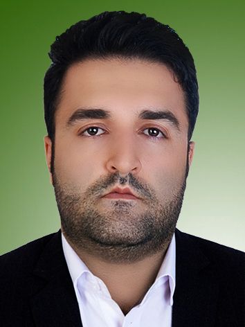 میرمجتبی حسینی