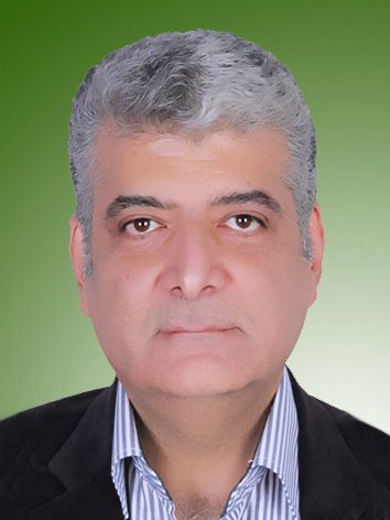 امیرحسن ندائی
