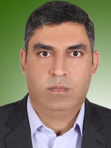 مجید حسین زاده