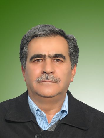 میرمجتبی خونساری