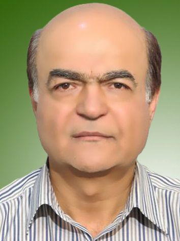 احمد ذاکری