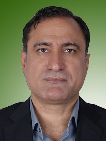 فرزاد امیری