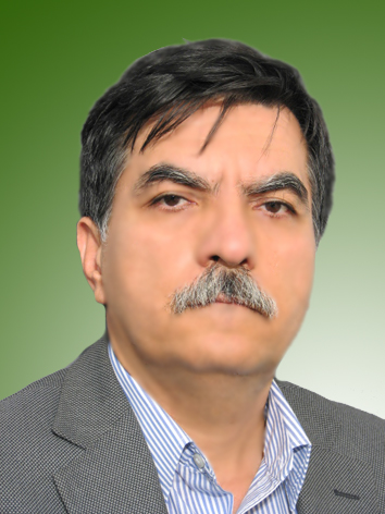مهرداد رهبری