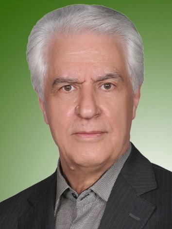 مرتضی احمدی شیرازی