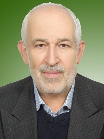 محمدرضا برزگربفروئی