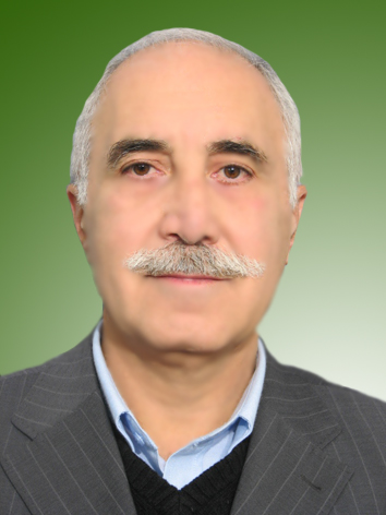 سیدنورالدین پوستی