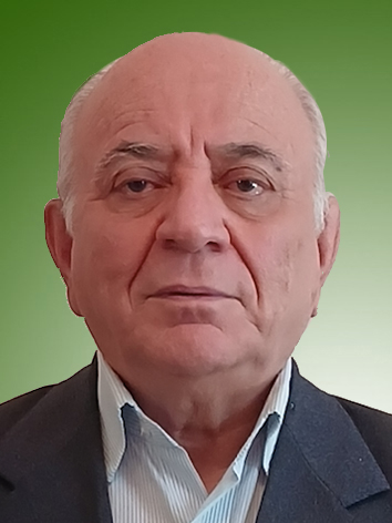 محسن جمالی