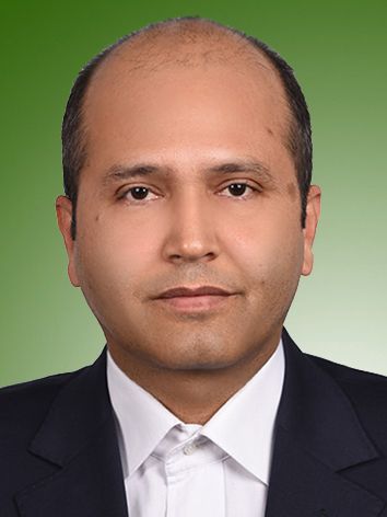 سید حسین میری
