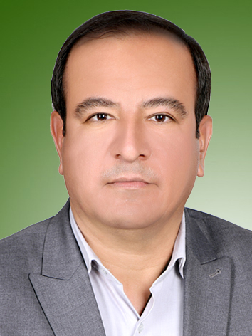 مجید کرمی