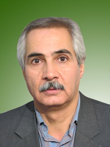 محمدرضا خان وفائی