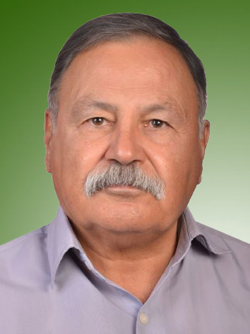 مصطفی رضائی