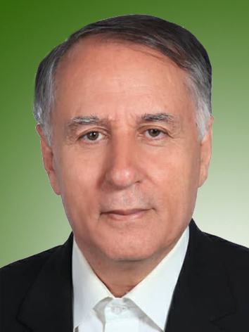 سیدخلیل عاملی