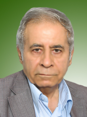 محمدحسین موحدی