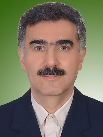 سید حسین مرجانمهر