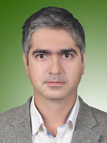 نیما محبوبی فر