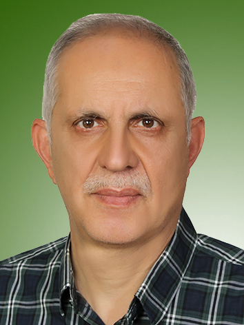 میرمسعود ملجائی