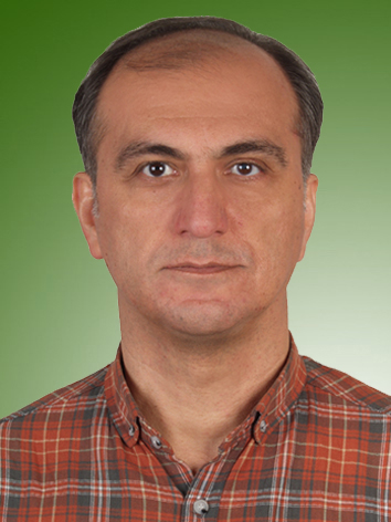 مهران مطلایی