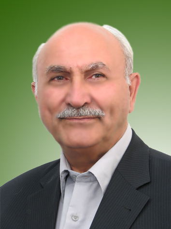 شاهرخ ابراهیمی قاجار